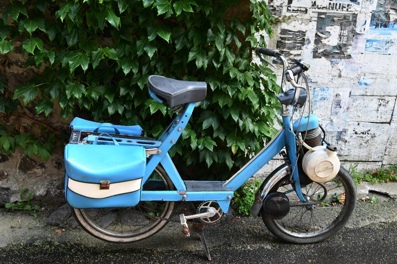 min 2023 08 13 Salers 141